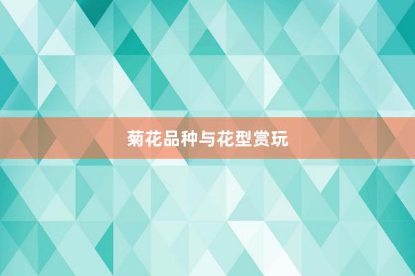 菊花品种与花型赏玩