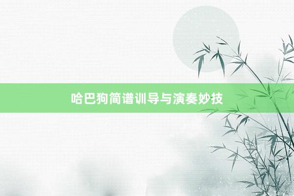 哈巴狗简谱训导与演奏妙技