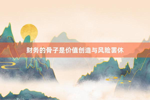 财务的骨子是价值创造与风险罢休