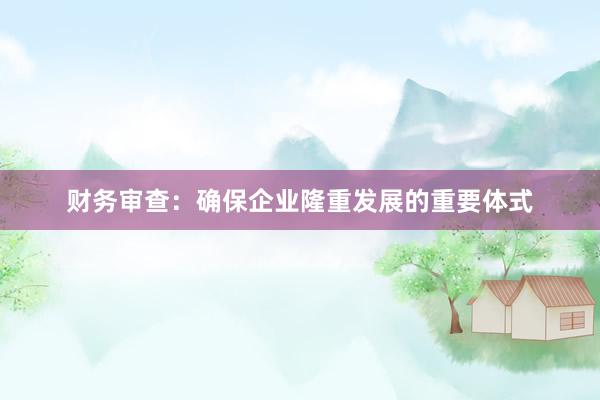 财务审查：确保企业隆重发展的重要体式